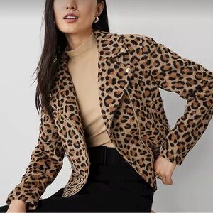 Ann Taylor moto jacket